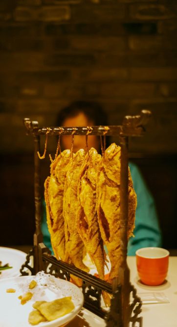 tommao-wang-F0CgcrMg_kU-unsplash tommao-wang-F0CgcrMg_kU-unsplash